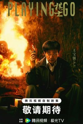 Игрок в ГО (2025)